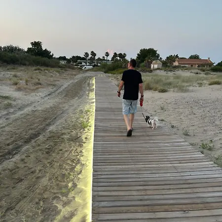 La Cigale Le Grau d'Agde