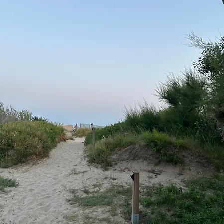Camping La Cigale Le Grau d'Agde