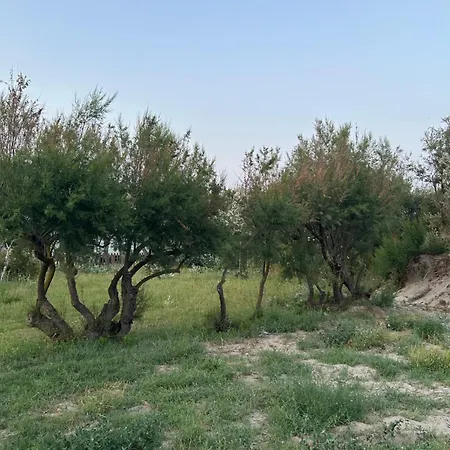 La Cigale Campeggio Le Grau-dʼAgde