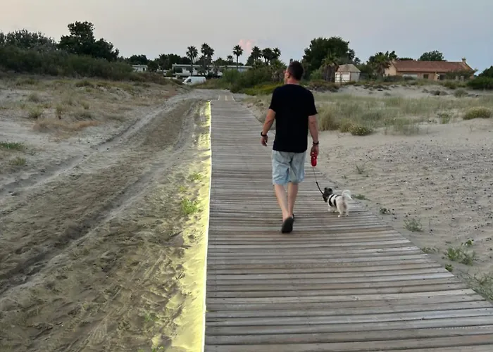 La Cigale Le Grau-dʼAgde