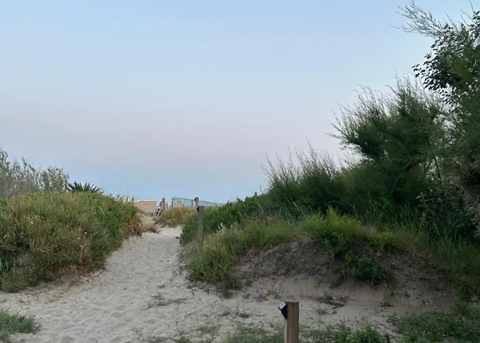 Kemp La Cigale Le Grau-dʼAgde