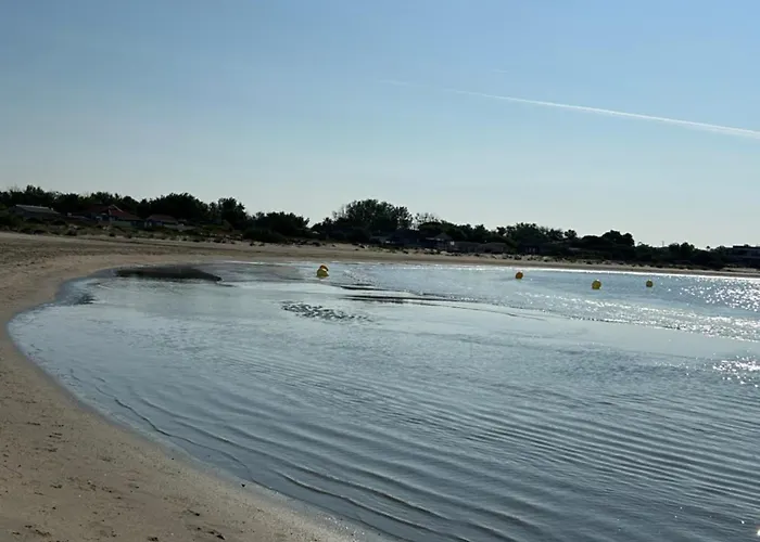 La Cigale * Le Grau-dʼAgde